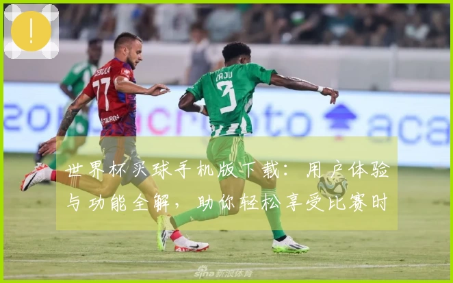 世界杯买球手机版下载：用户体验与功能全解，助你轻松享受比赛时刻