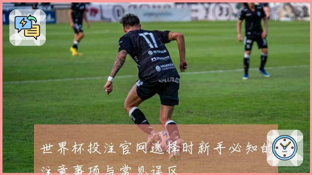 世界杯投注官网选择时新手必知的注意事项与常见误区