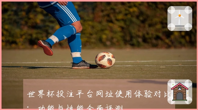 世界杯投注平台网址使用体验对比：功能与性能全面评测