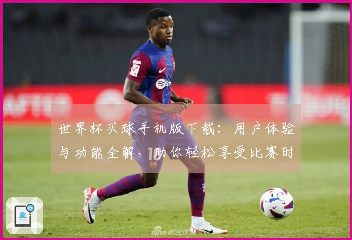 世界杯买球手机版下载：用户体验与功能全解，助你轻松享受比赛时刻