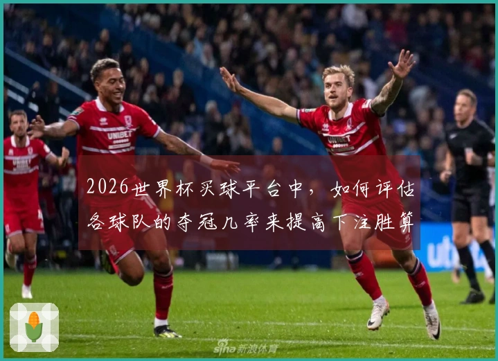 2026世界杯买球平台中，如何评估各球队的夺冠几率来提高下注胜算