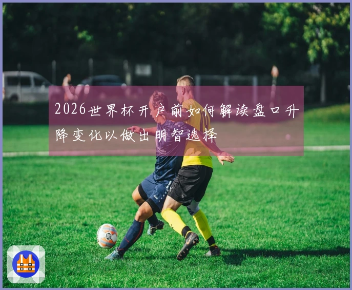 2026世界杯开户前如何解读盘口升降变化以做出明智选择