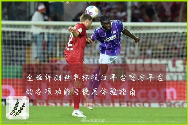 全面评测世界杯投注平台官方平台的各项功能与使用体验指南
