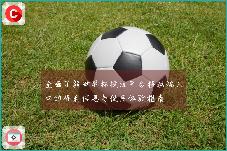 全面了解世界杯投注平台移动端入口的福利信息与使用体验指南