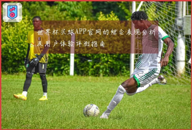 世界杯买球APP官网的综合表现分析及用户体验评测指南