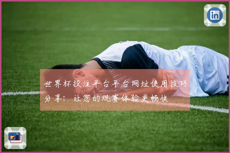 世界杯投注平台平台网址使用技巧分享：让您的观赛体验更畅快
