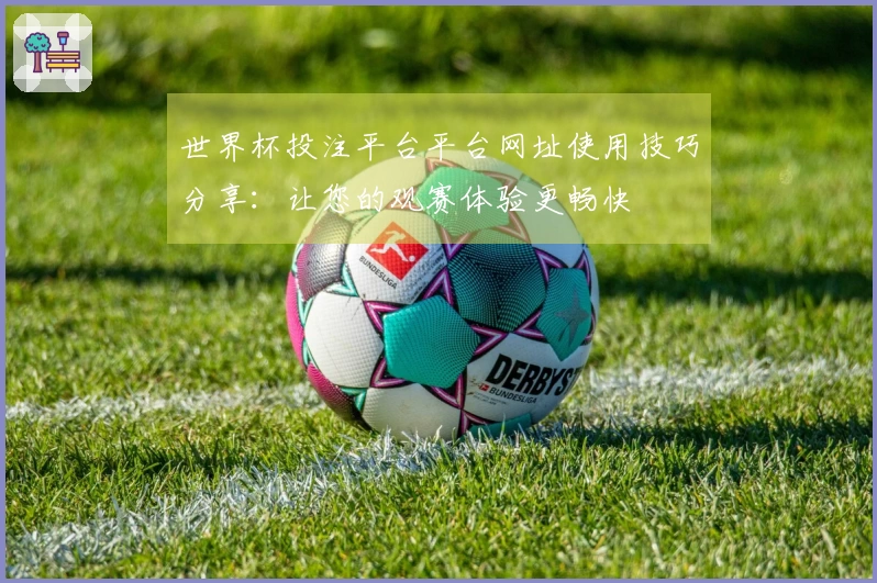 世界杯投注平台平台网址使用技巧分享：让您的观赛体验更畅快