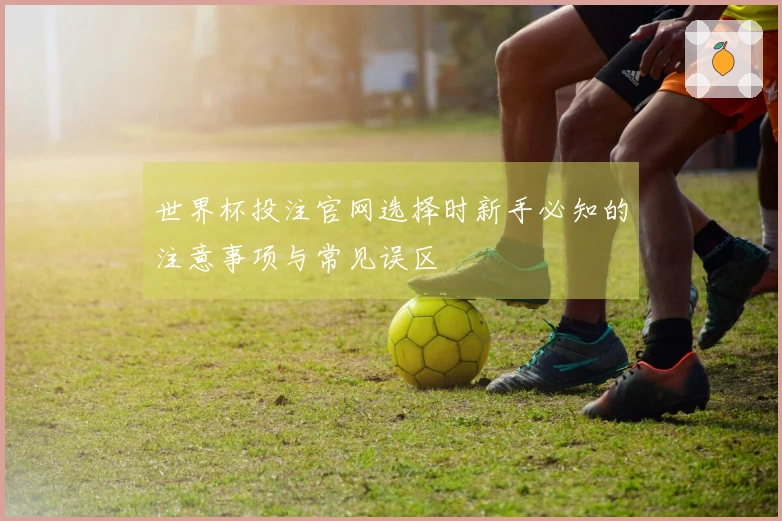 世界杯投注官网选择时新手必知的注意事项与常见误区