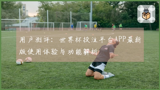 用户测评：世界杯投注平台APP最新版使用体验与功能解析
