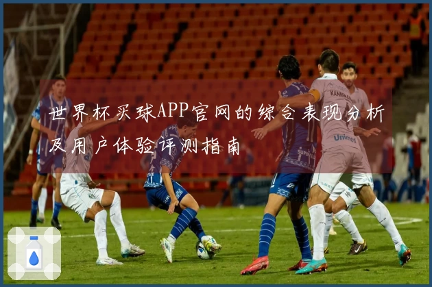 世界杯买球APP官网的综合表现分析及用户体验评测指南