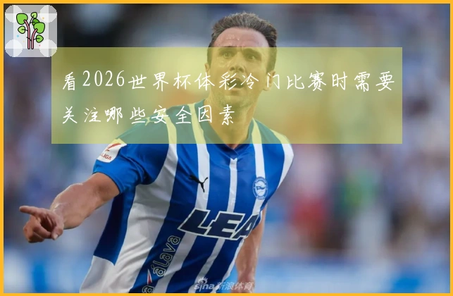 看2026世界杯体彩冷门比赛时需要关注哪些安全因素