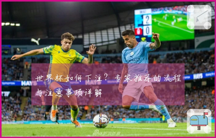世界杯如何下注？专家推荐的流程与注意事项详解