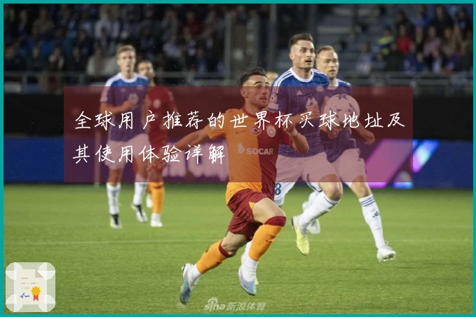 全球用户推荐的世界杯买球地址及其使用体验详解